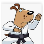 Kung foo learners