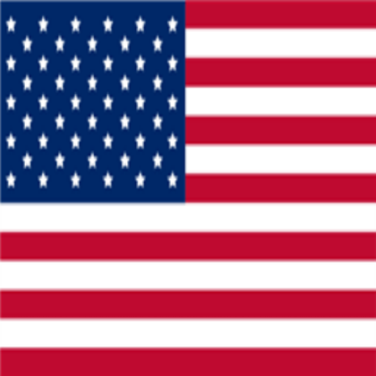 SS USA army sign Roblox decal