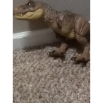 Triassic United