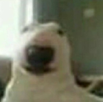 hilIs