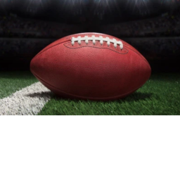 OFL Head Coach Area