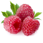 raspberry response team
