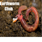 Earthworm Club