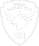 SRT Special Academy - Project Kivotos