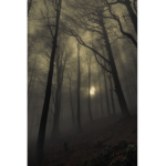 Cryptic!.