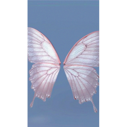 ʚĭɞ vivacious ʚĭɞ