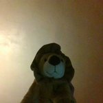lionnitta has fun group