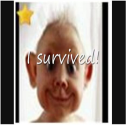 funny Roblox decal