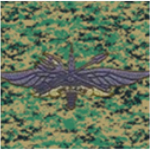 [S-A-F] Singapore Armed Forces