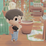 miyyokki