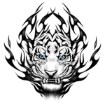 Corporation Tiger