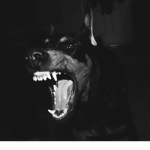 Братский Kруг