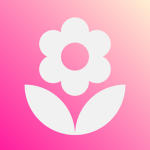 .bloom | Official Group