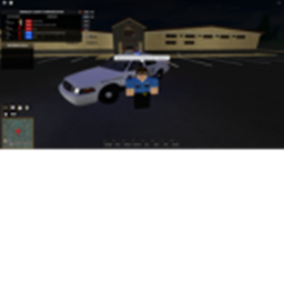 nypd meting