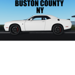 Buston County, NY
