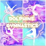 _Dolphins_Gymnastics_