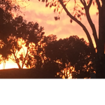 I am sunset