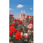 *~Rose's secret~* <3