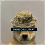the Captains of dogs