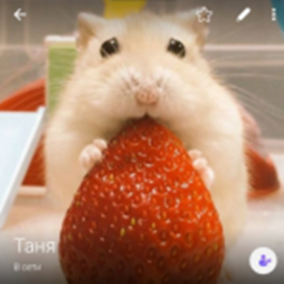 Таня Nextbot