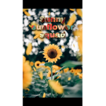 The sunny Sunflower