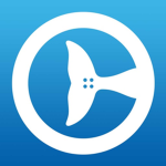 ||Clearwater Marine Aquarium||