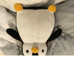 the penguin allegiance