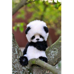PANDA SQUAD SHALL NEVER TAKE A L