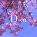 .+* Dior *+.