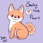Saving the Paws!