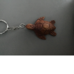 Turtles rock bois