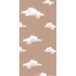 Thecloudies!