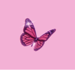 Butterfly Camp <3