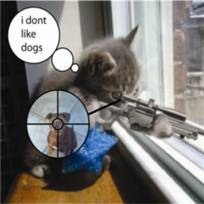 sniper cat! Roblox decal