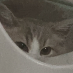 YXS的群组