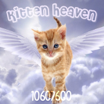 Kitten Heaven