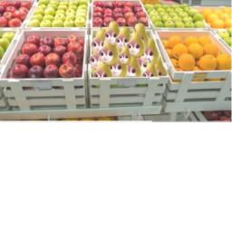 PEARTO CART RIDE CART RIDE INTO TETO PEAR PLAY NOW