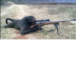 Monkey gang :]