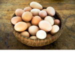 The LICE EGGs