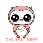 OWL sally group