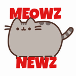 Meowz Newz