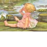 baby faeries