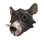 Harry The Rat Studio