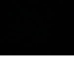 The Final Stand Project