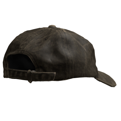 Distressed Brown Hat backwards
