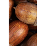 Acorns roll the world