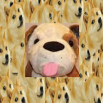 Da Real Doge Squad