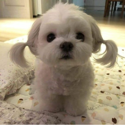 。°˖ ʚ ♡ ɞ 。°