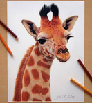 realistic animal group