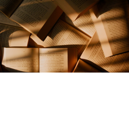 Book report Battle royal more like a report update